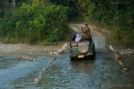 Jim Corbett National Park- You Don't come here for the Tigers.