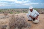 Ranaram Bishnoi- The 75 year Old  who Stopped the March of the Desert