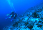 Mystical Underwater in Maldives